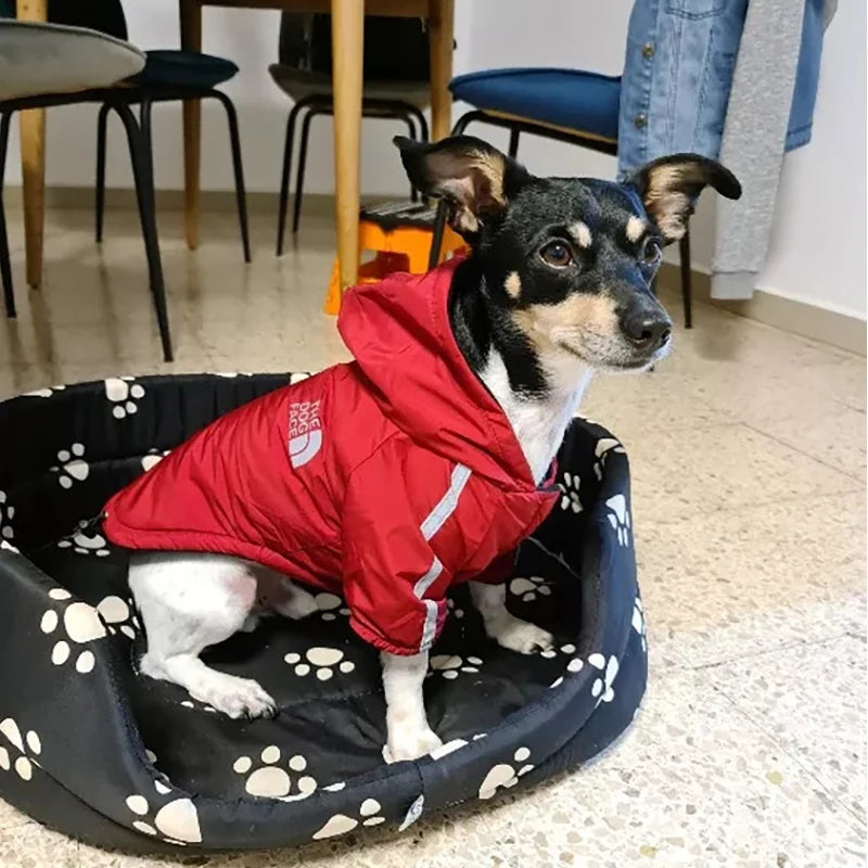 The Dog Face Jacket - Small to Medium Sized Breeds